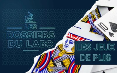 Les Dossiers du Labo : les jeux de plis