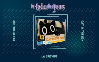 Test : Cat in the Box