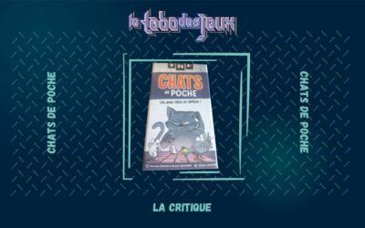 Test : Chats de poche