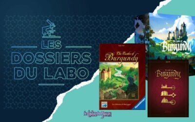 Les dossiers du Labo : Les châteaux de Bourgogne